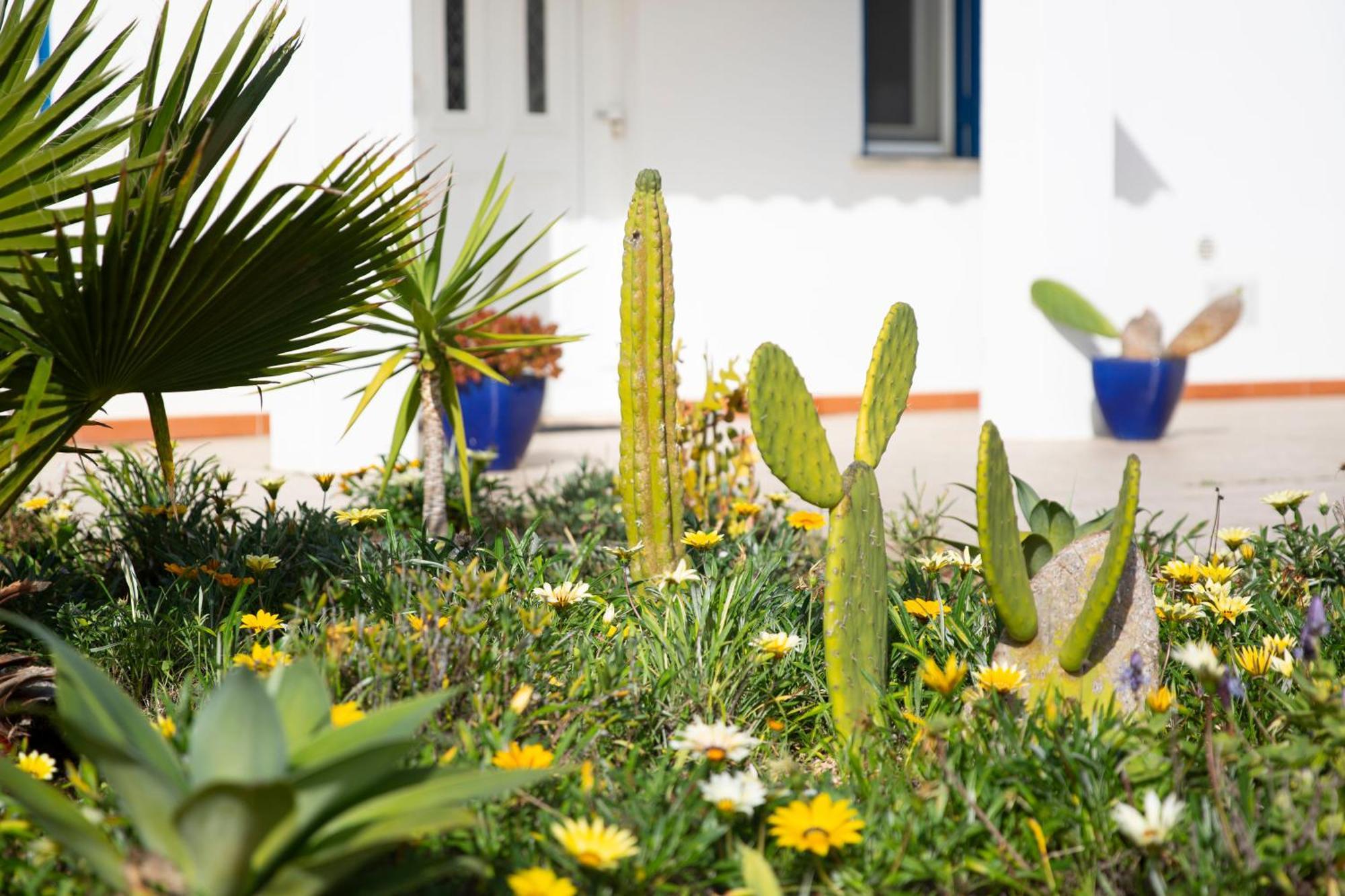 Marecasa Villa Aljezur Ngoại thất bức ảnh